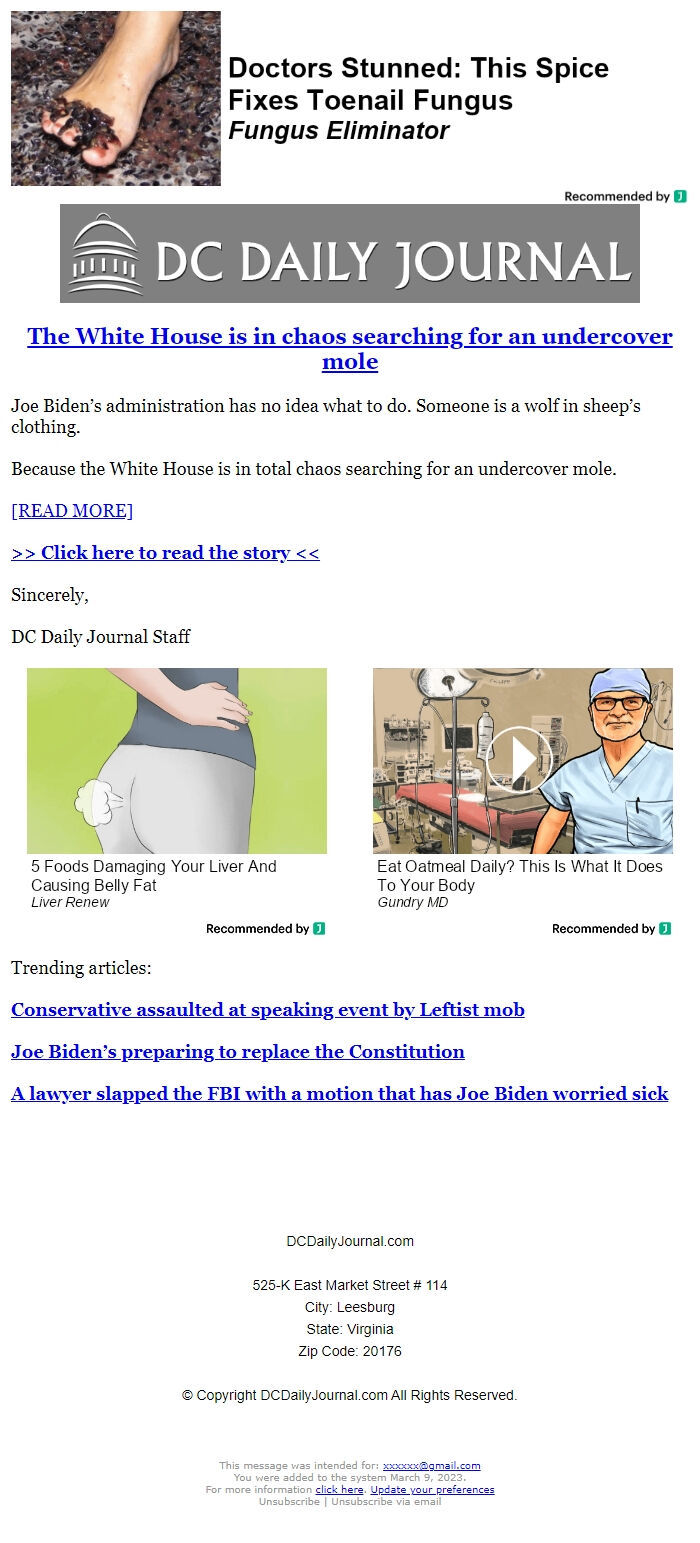 Screenshot of the email generated on import