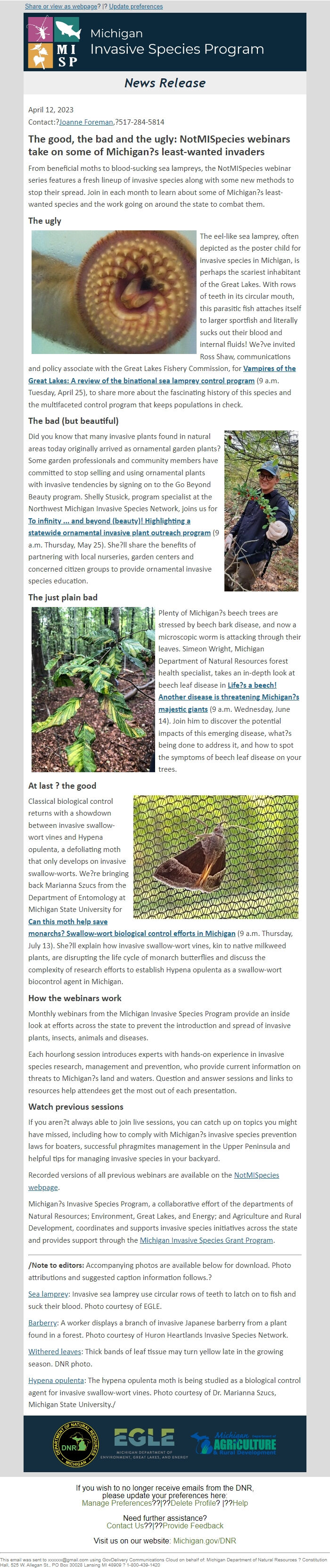 Screenshot of the email generated on import