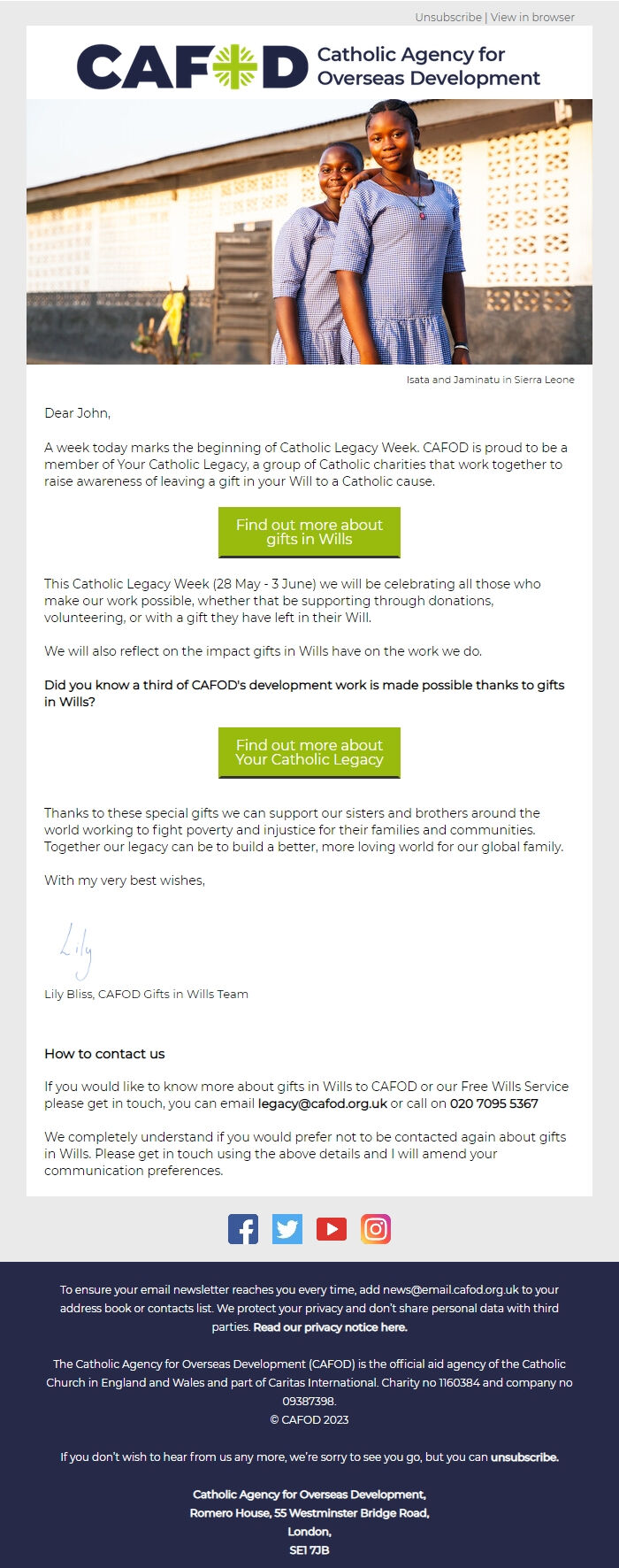 Screenshot of the email generated on import