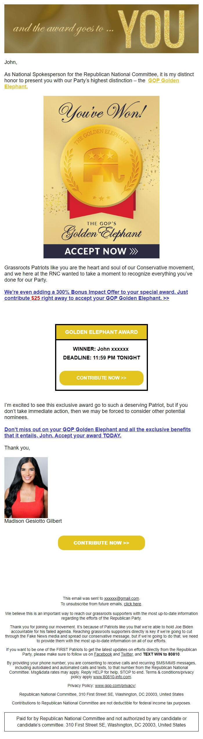 Screenshot of the email generated on import