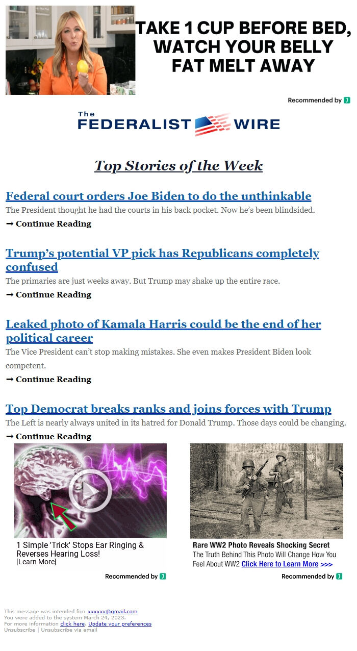 Screenshot of the email generated on import