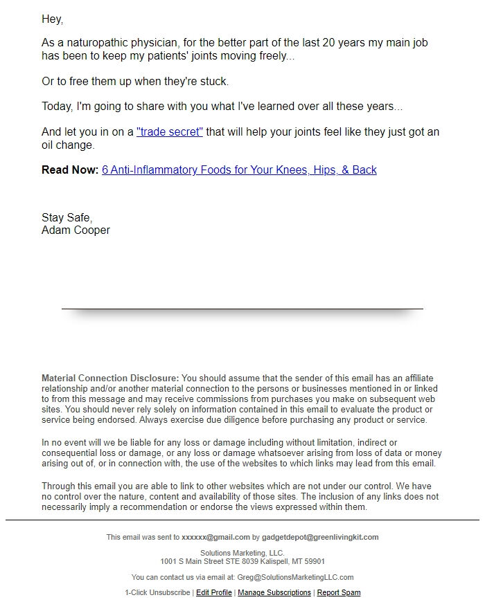 Screenshot of the email generated on import