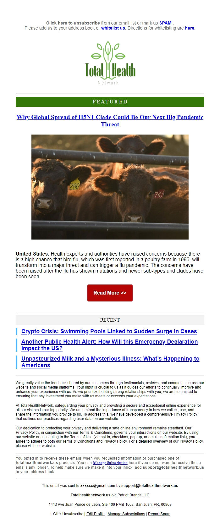 Screenshot of the email generated on import