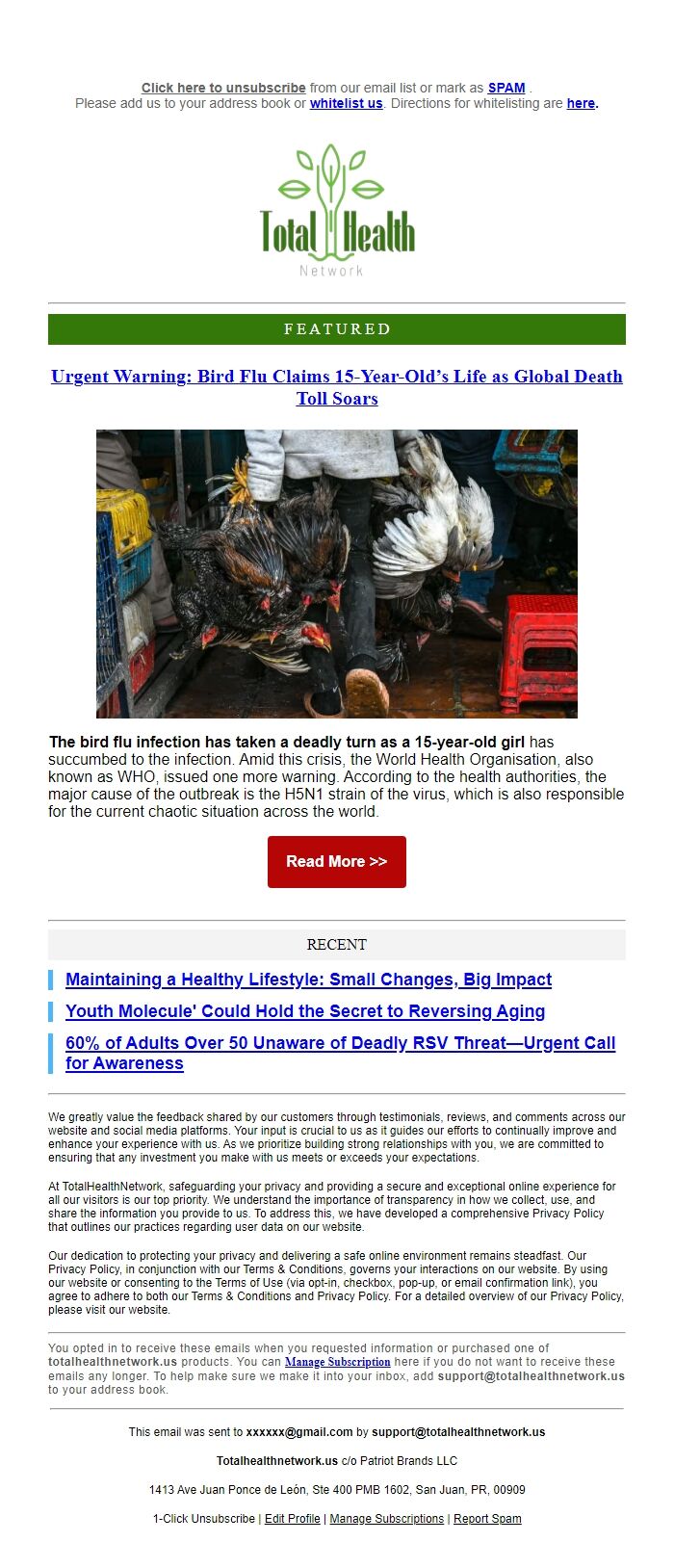 Screenshot of the email generated on import