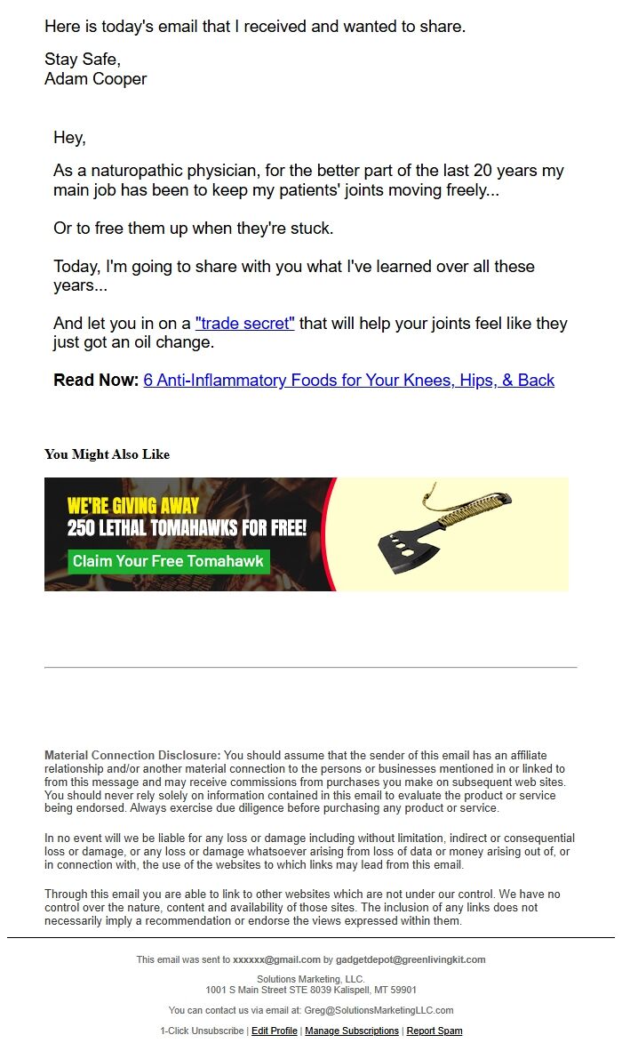 Screenshot of the email generated on import