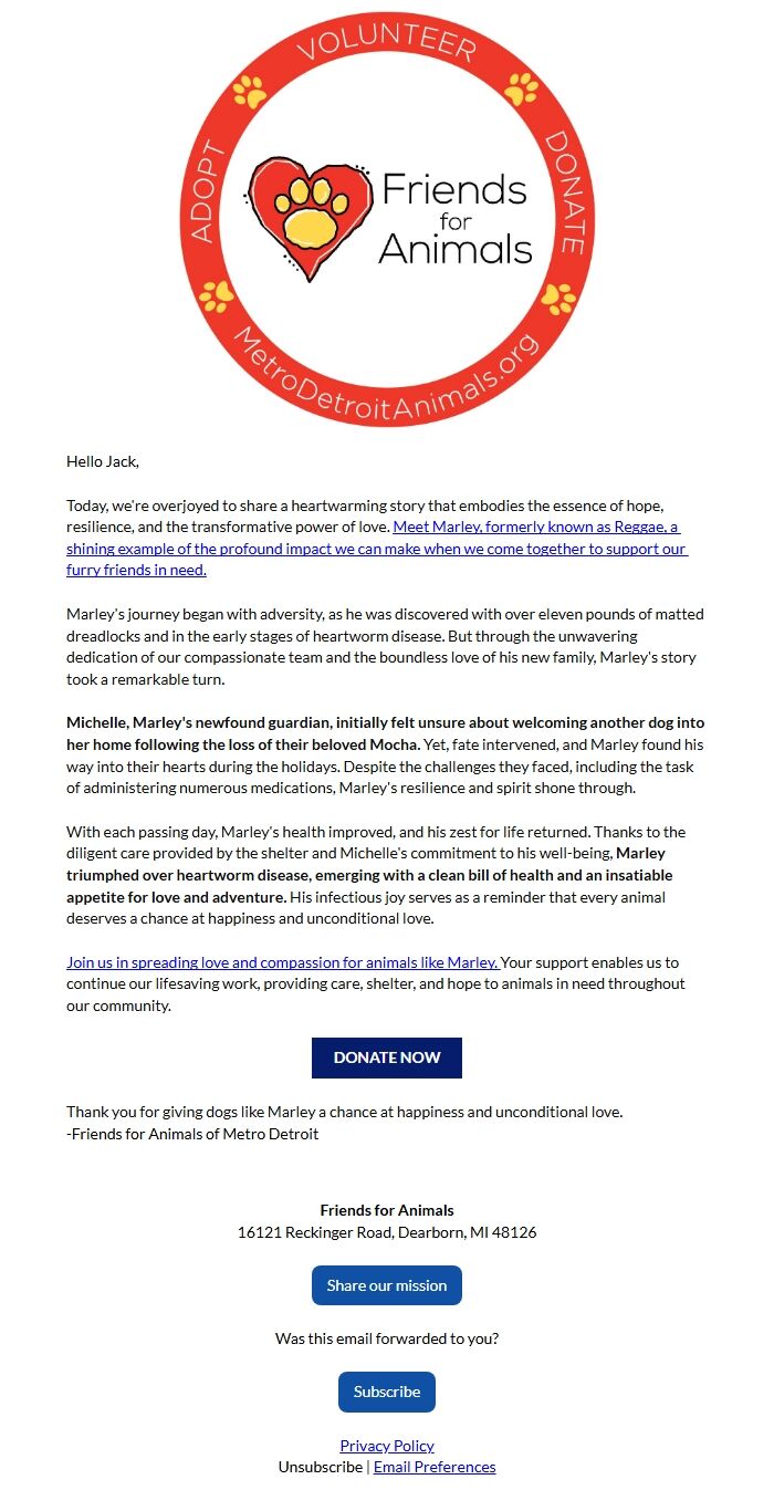 Screenshot of the email generated on import