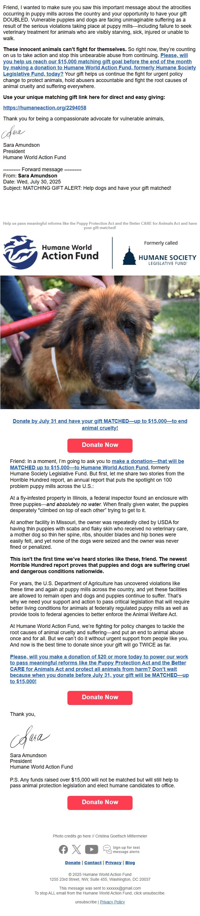 Screenshot of the email generated on import