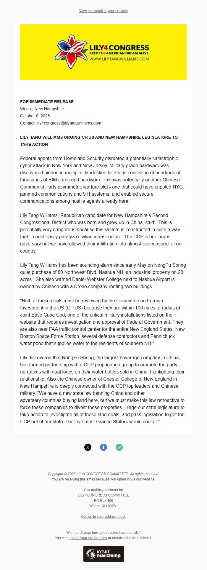 Screenshot of the email generated on import