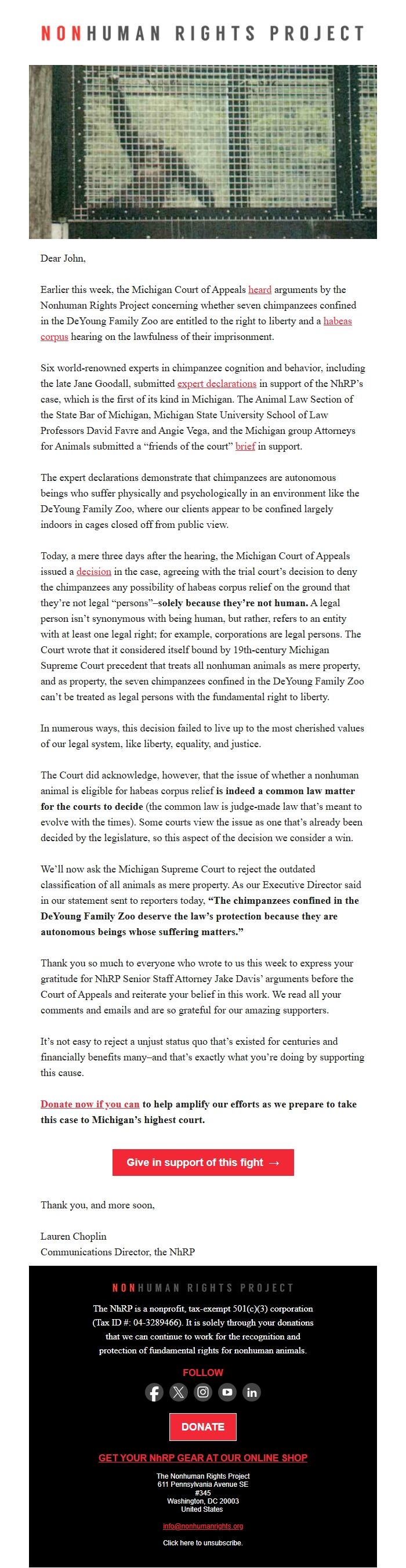 Screenshot of the email generated on import