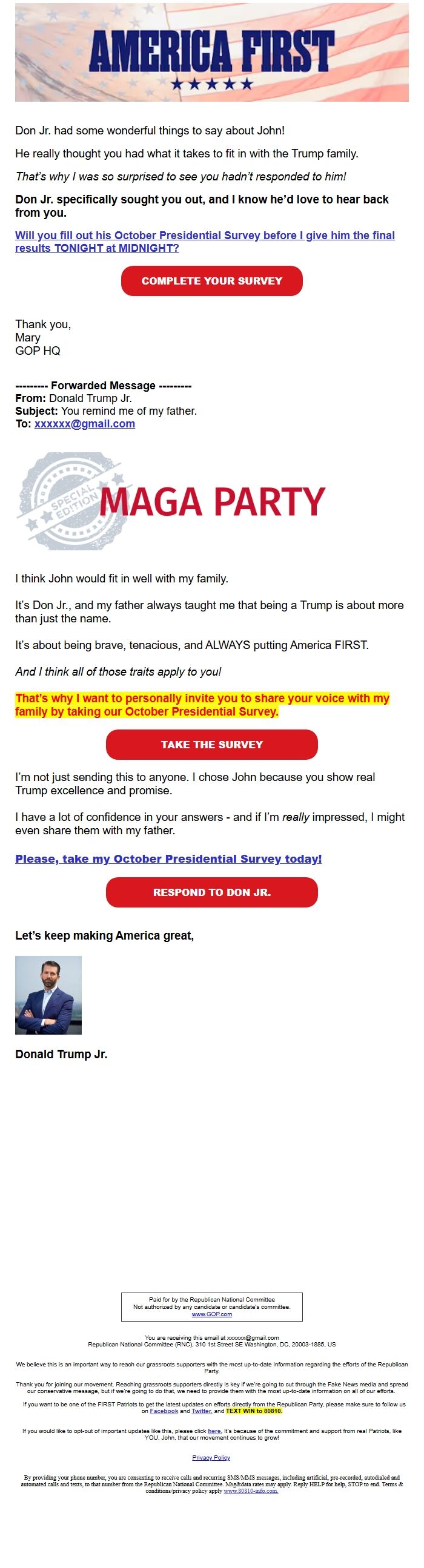 Screenshot of the email generated on import