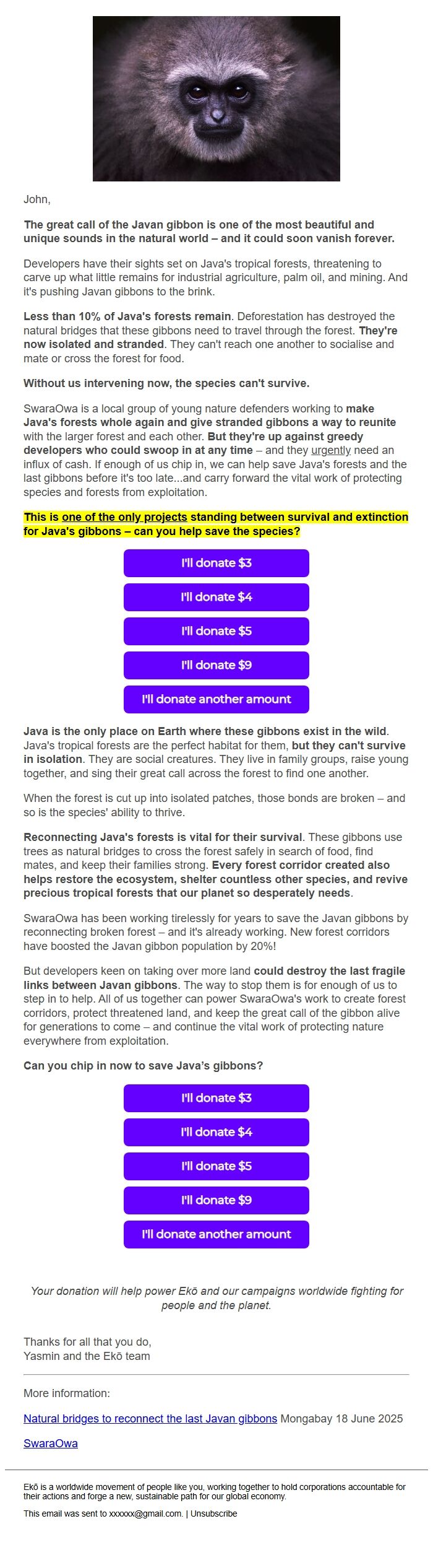 Screenshot of the email generated on import