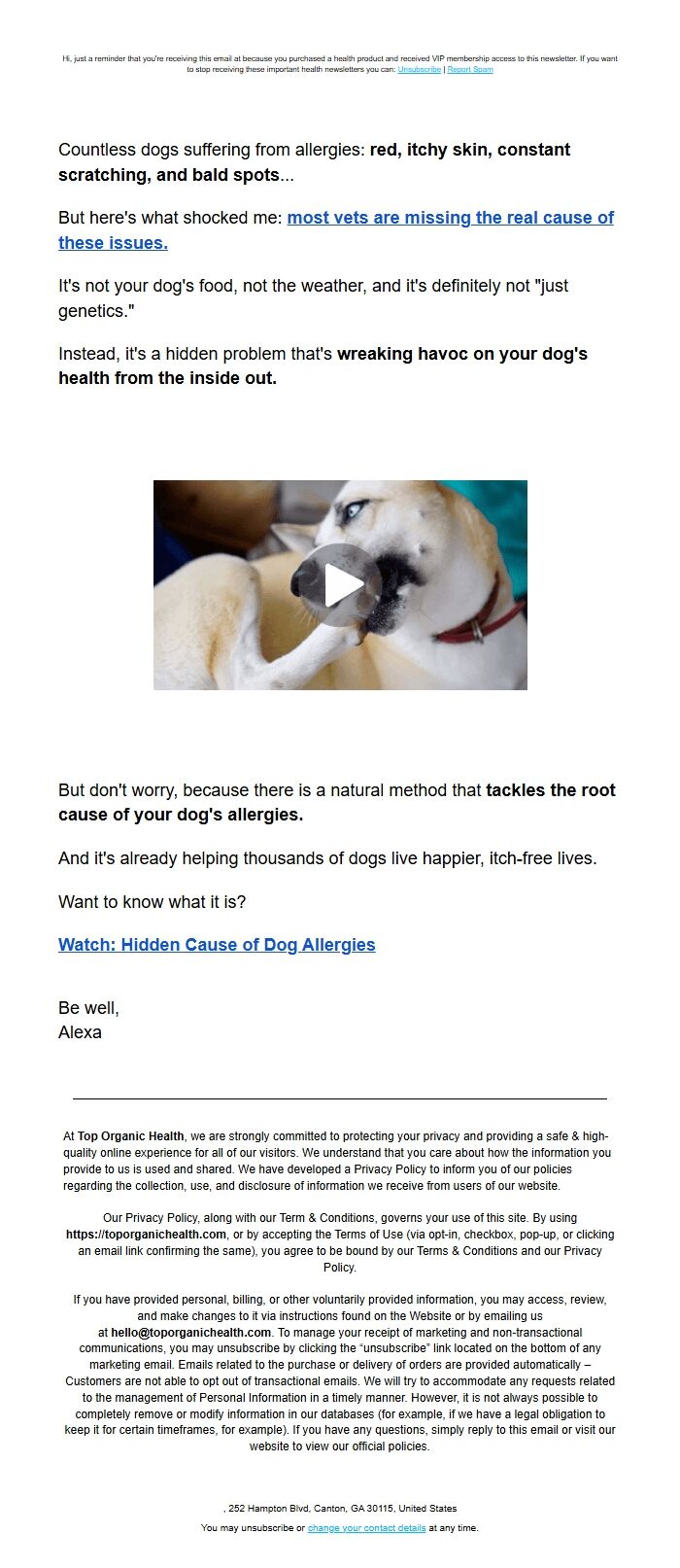 Screenshot of the email generated on import