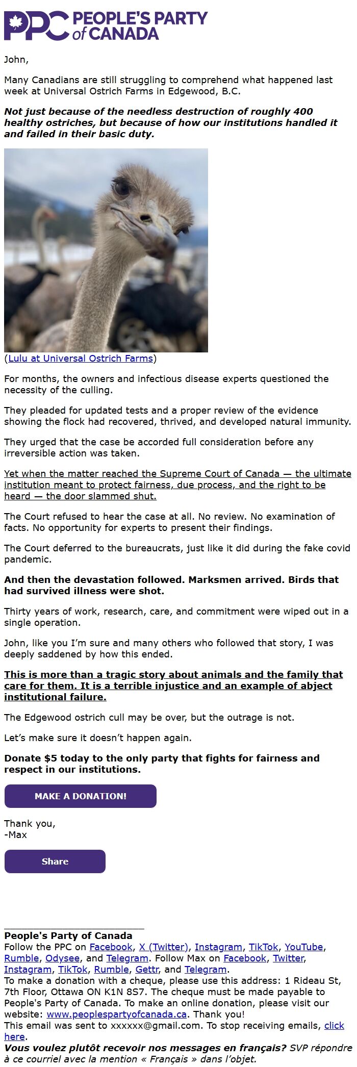 Screenshot of the email generated on import