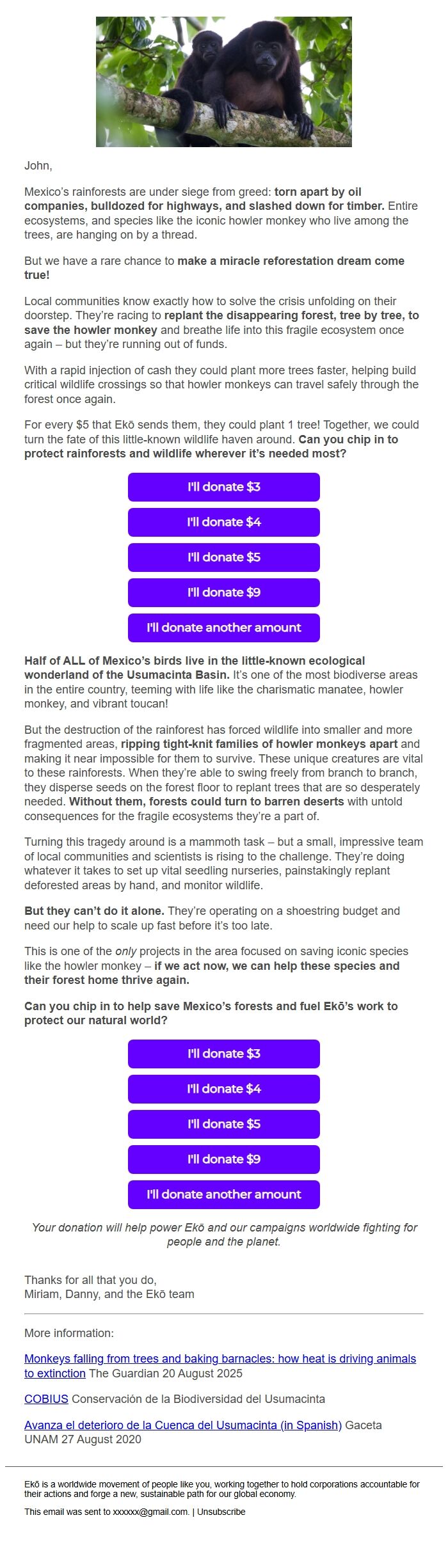 Screenshot of the email generated on import