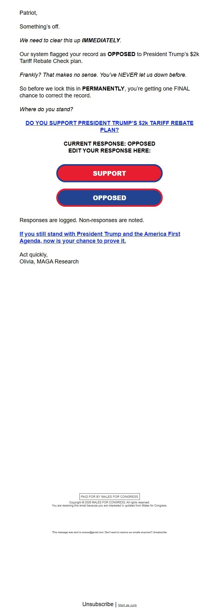 Screenshot of the email generated on import