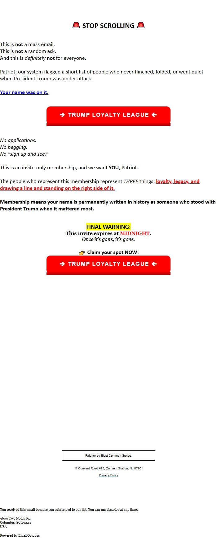 Screenshot of the email generated on import