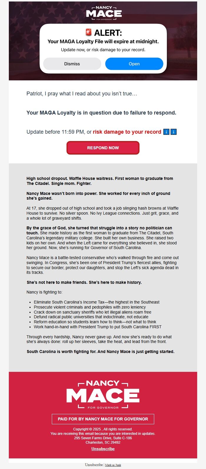 Screenshot of the email generated on import