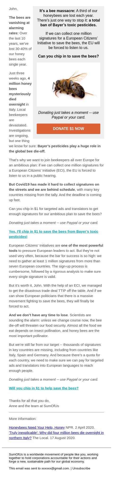 Screenshot of the email generated on import